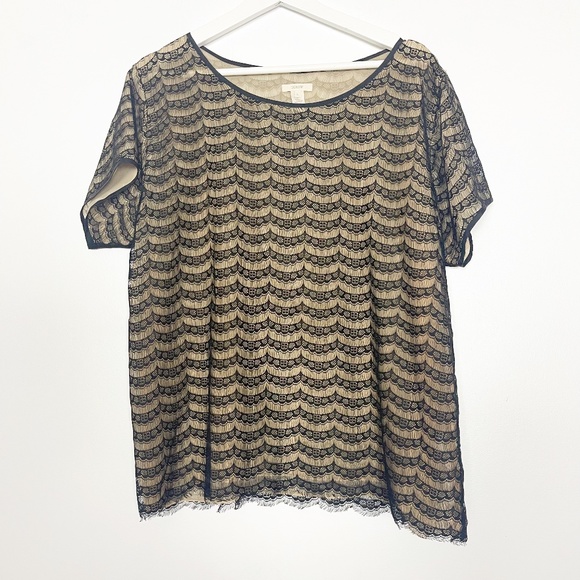 J. Crew Tops - J Crew Women's Blouse Top Size L Large Black Beige Lace Layered Lightweight